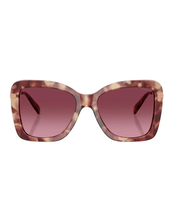 Coach CFU03 Acetate Sunglasses in Violet image 1