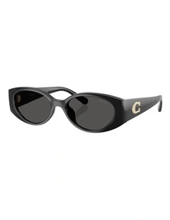 Coach CFU06 Injected Sunglasses in Black