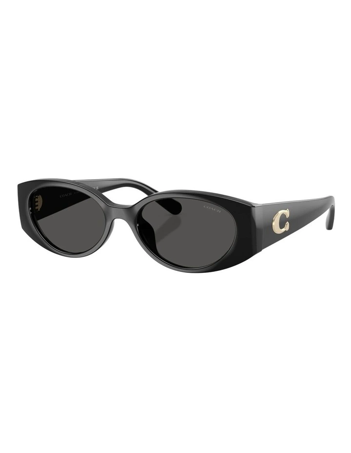 Coach CFU06 Injected Sunglasses in Black image 1
