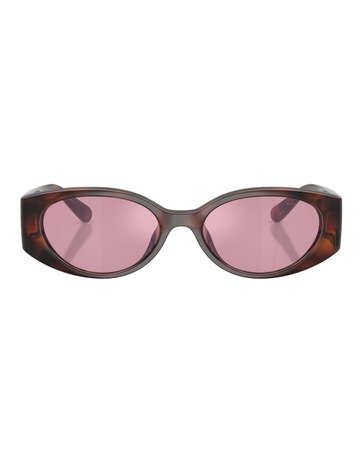 Dark Tortoise colour