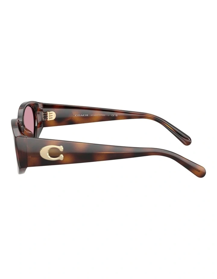 Coach CFU06 Injected Sunglasses in Tortoise image 2