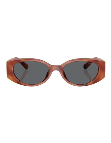 Caramel Tortoise colour