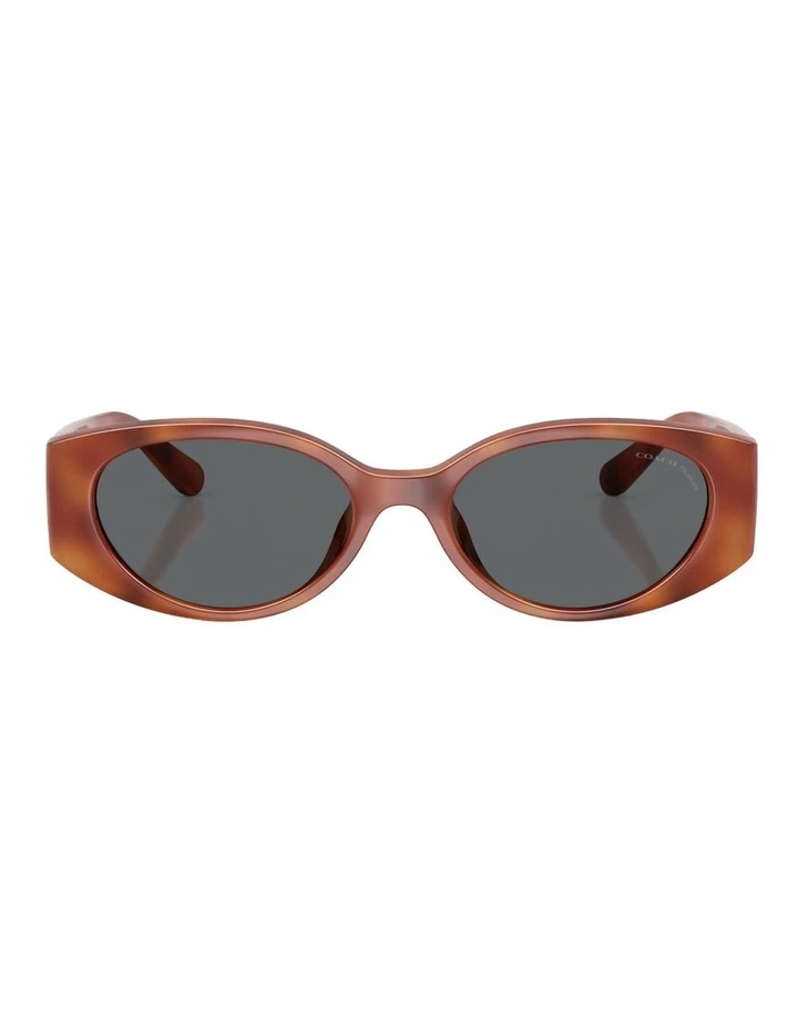 Coach CFU06 Injected Polarised Sunglasses in Tortoise image 1