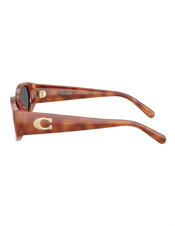 Coach CFU06 Injected Polarised Sunglasses in Tortoise image 2