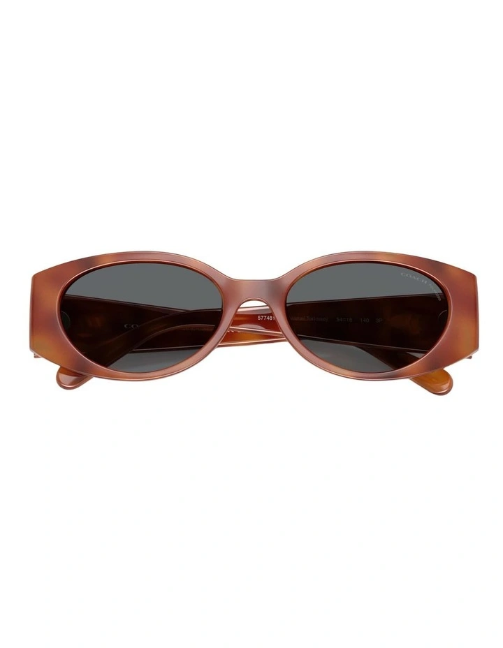 Coach CFU06 Injected Polarised Sunglasses in Tortoise image 3