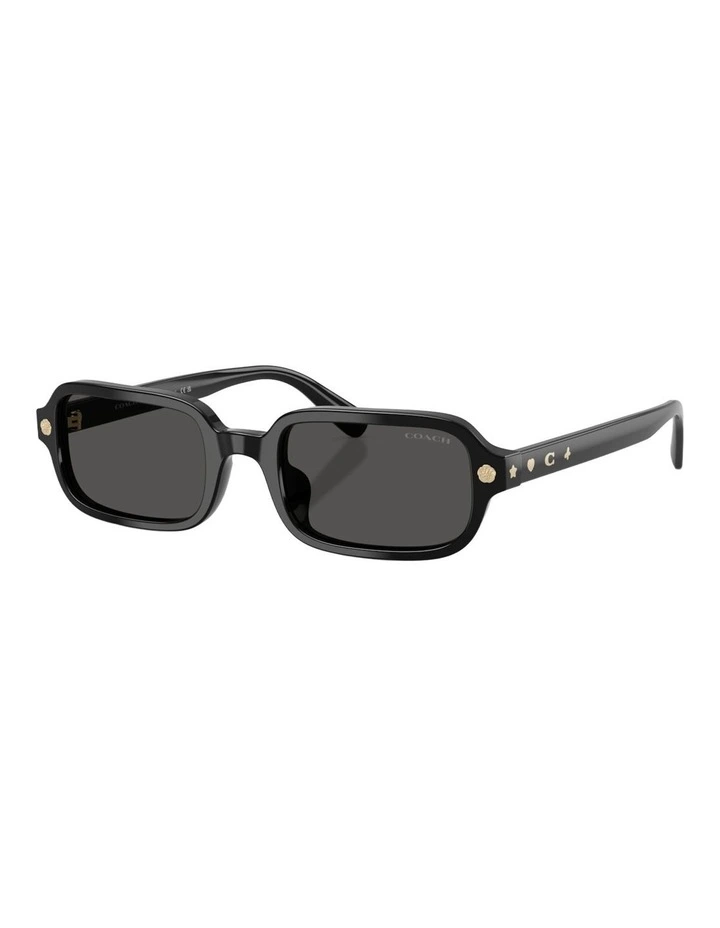 Coach CFU11 Acetate Sunglasses in Black image 1