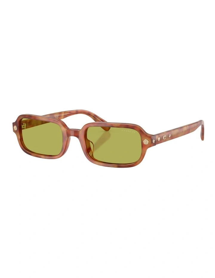 Coach CFU11 Acetate Sunglasses in Tortoise image 1