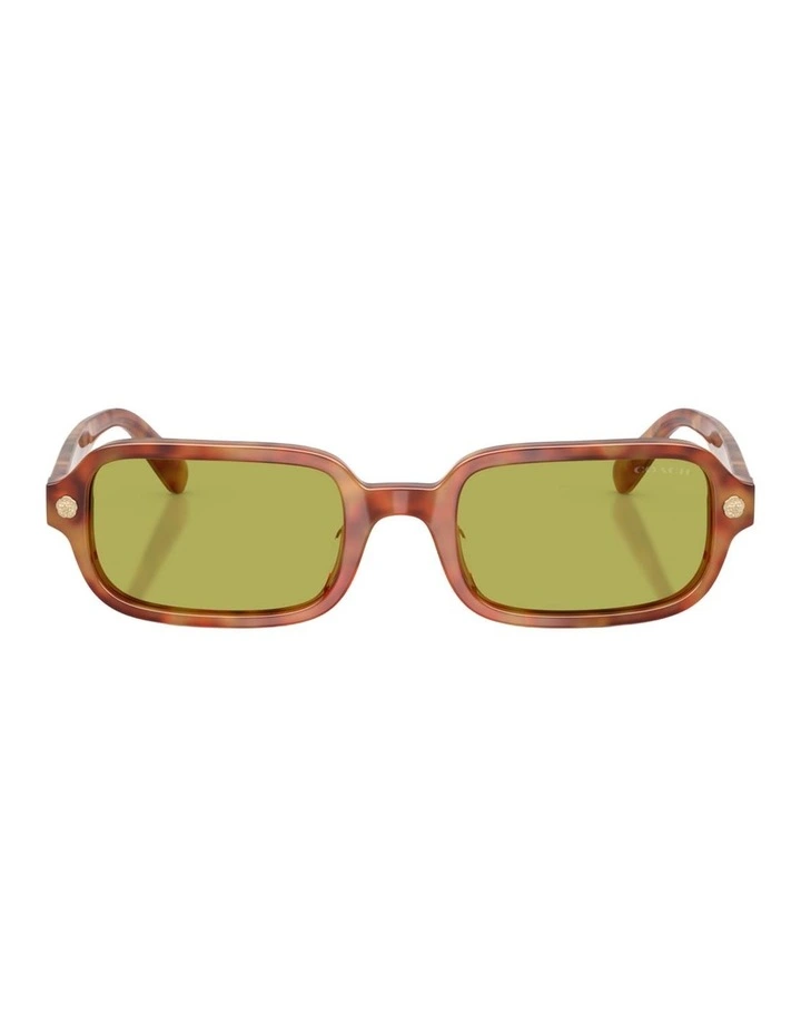 Coach CFU11 Acetate Sunglasses in Tortoise image 2