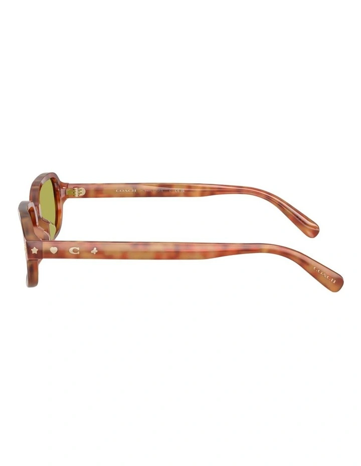 Coach CFU11 Acetate Sunglasses in Tortoise image 3