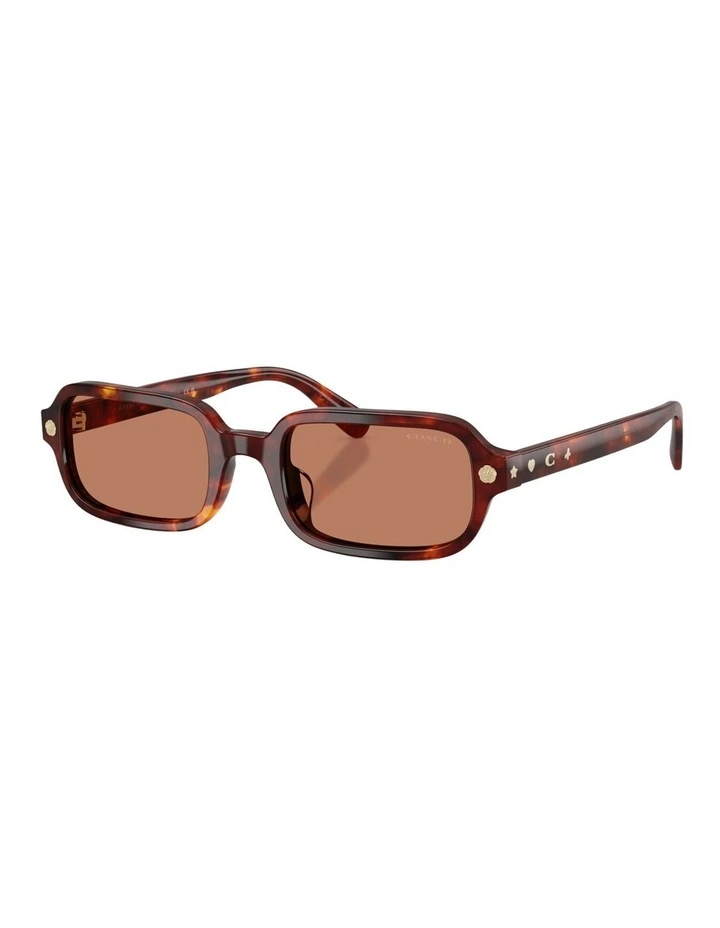 Coach CFU11 Acetate Sunglasses in Tortoise image 1