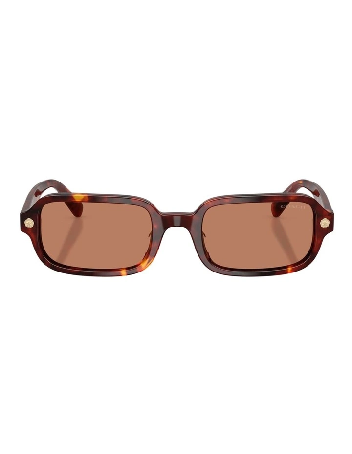 Coach CFU11 Acetate Sunglasses in Tortoise image 2
