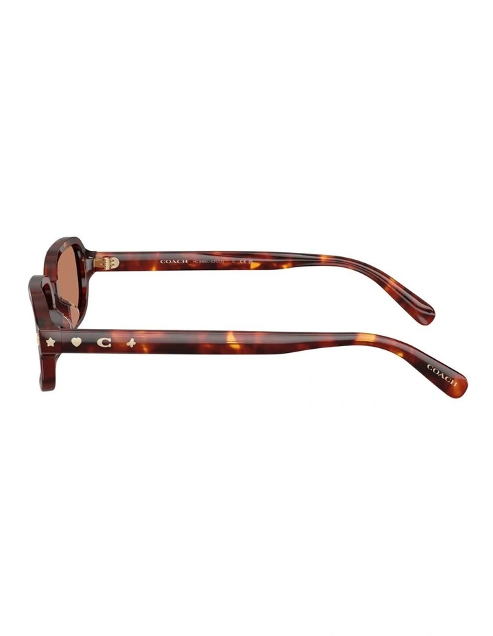 Coach CFU11 Acetate Sunglasses in Tortoise image 3