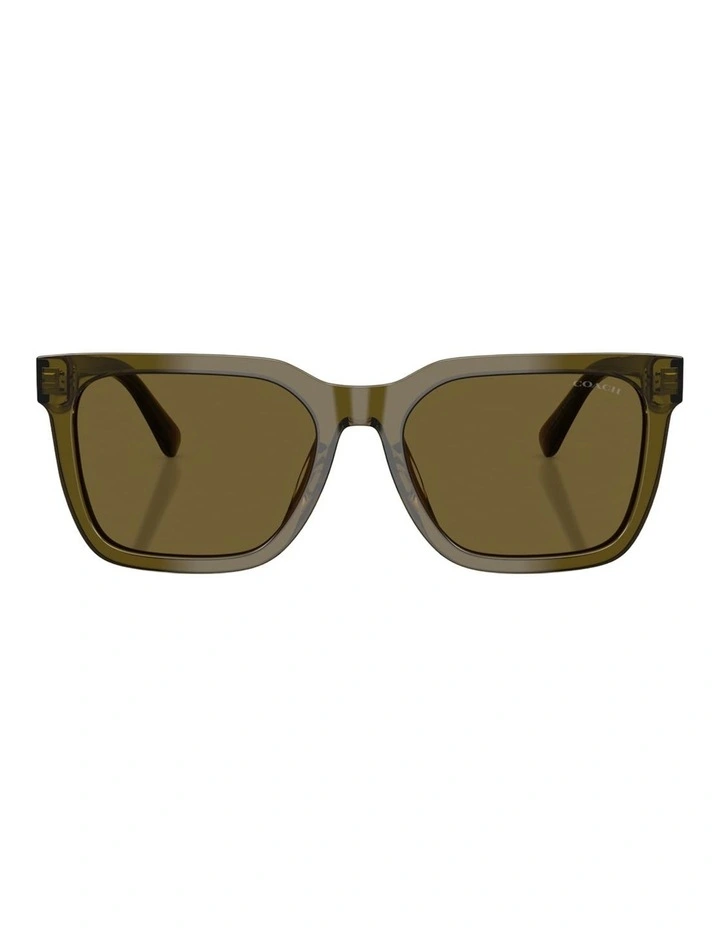 Coach CFU12 Acetate Sunglasses in Green image 2