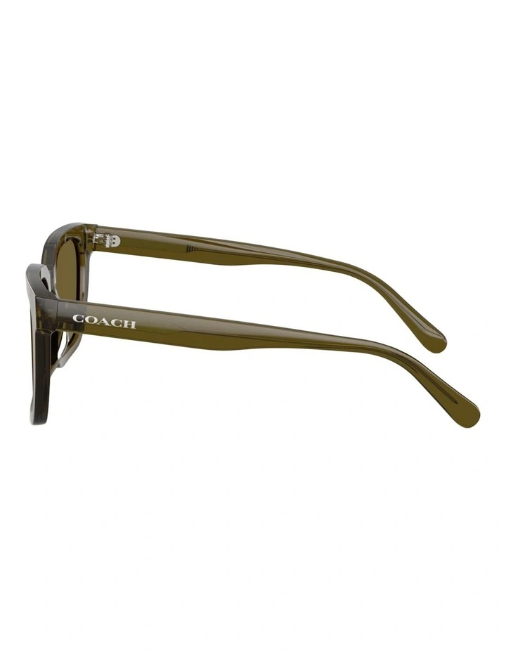 Coach CFU12 Acetate Sunglasses in Green image 3