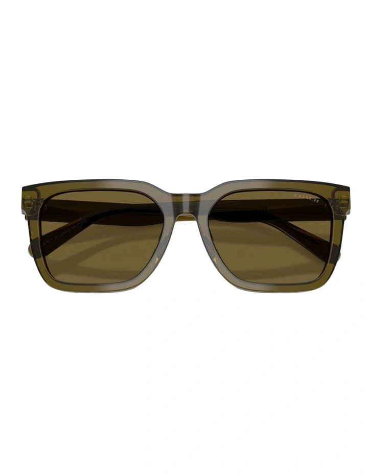 Coach CFU12 Acetate Sunglasses in Green image 4