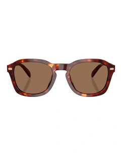 Coach CFU14 Acetate Sunglasses in Tortoise