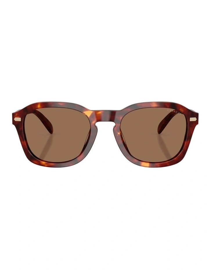 Coach CFU14 Acetate Sunglasses in Tortoise image 1