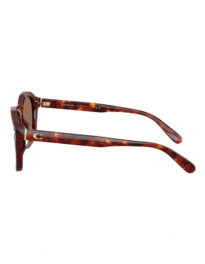 Coach CFU14 Acetate Sunglasses in Tortoise image 2
