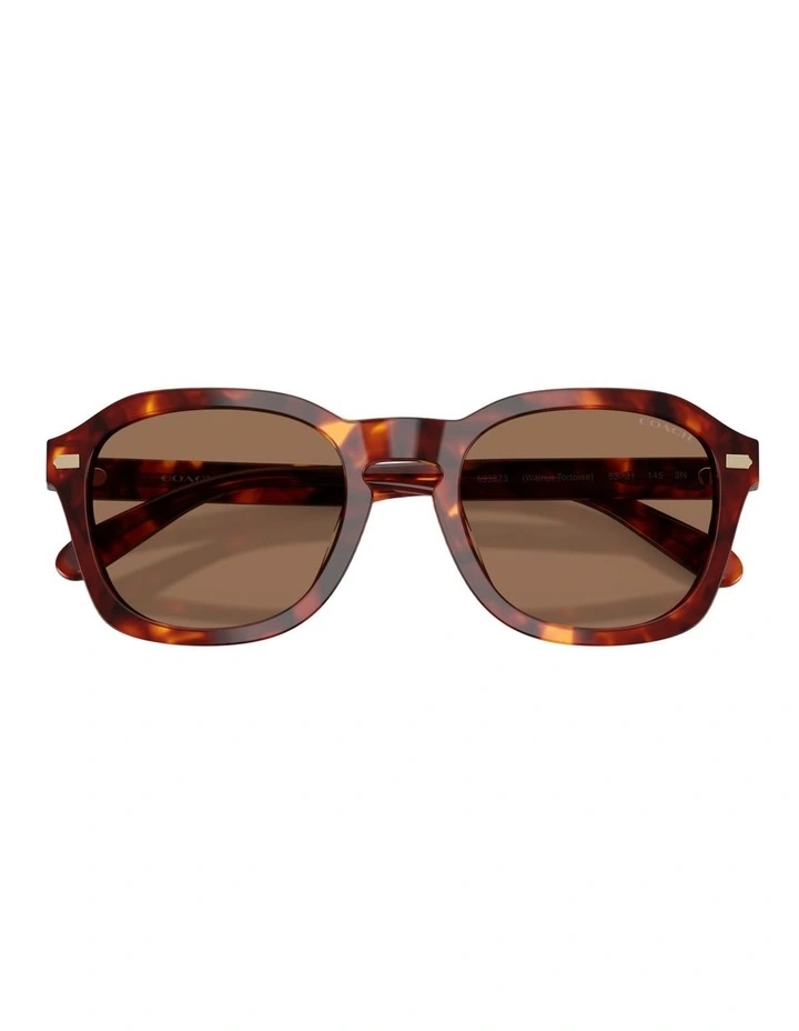 Coach CFU14 Acetate Sunglasses in Tortoise image 3