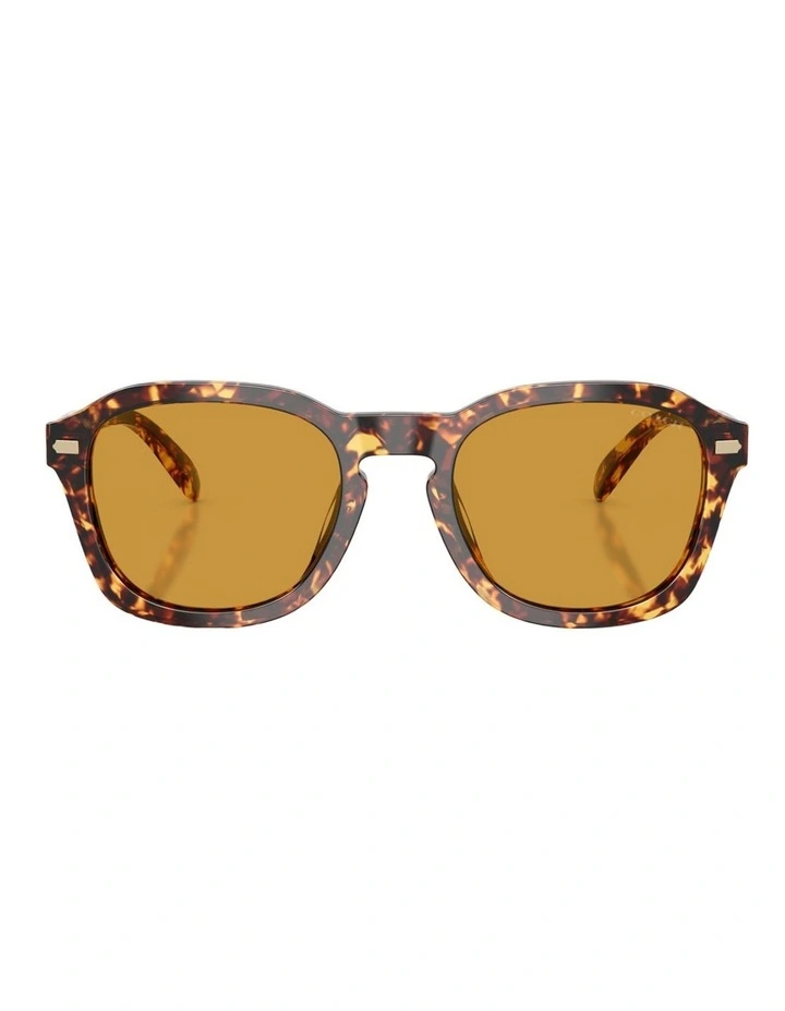 Coach CFU14 Acetate Sunglasses in Tortoise image 2
