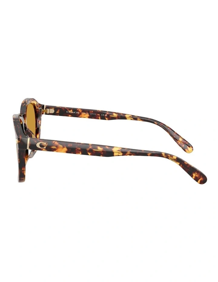 Coach CFU14 Acetate Sunglasses in Tortoise image 3