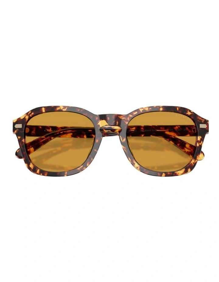 Coach CFU14 Acetate Sunglasses in Tortoise image 4