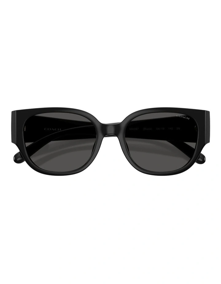 Coach CFU17 Injected Sunglasses in Black image 4