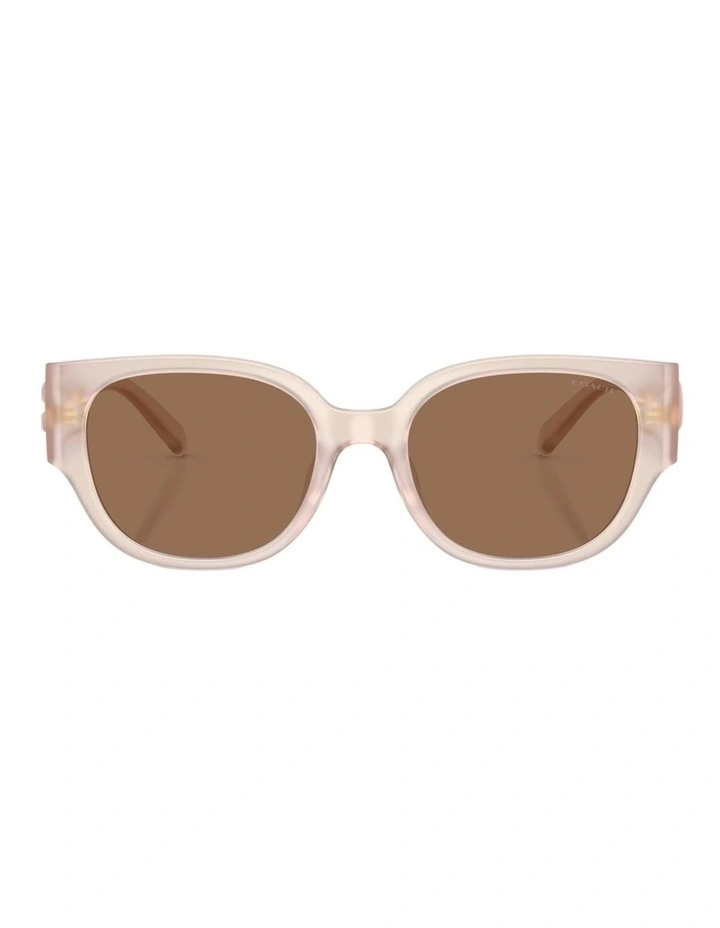 Coach CFU17 Injected Sunglasses in Pink image 1