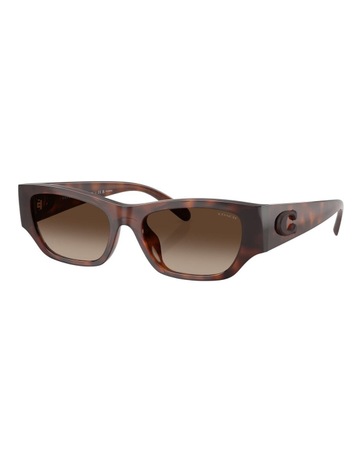 Dark Tortoise colour