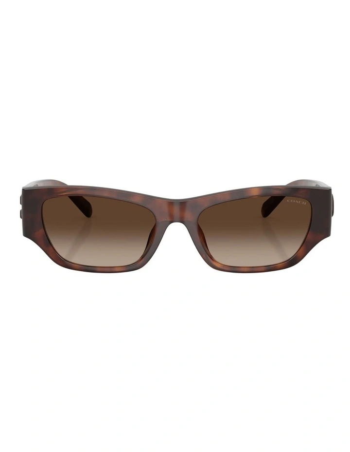 Coach CFU16 Injected Polarised Sunglasses in Tortoise image 2