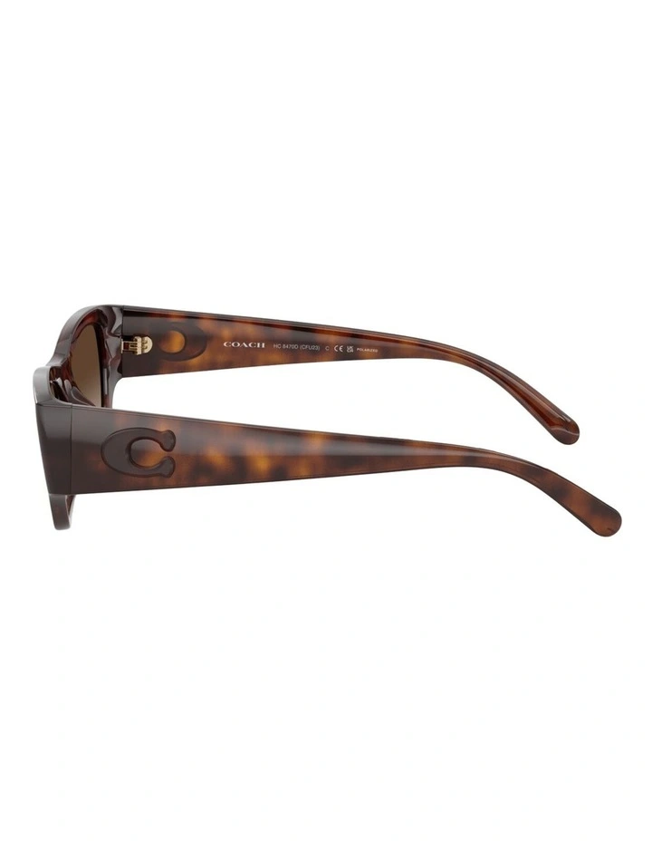 Coach CFU16 Injected Polarised Sunglasses in Tortoise image 3