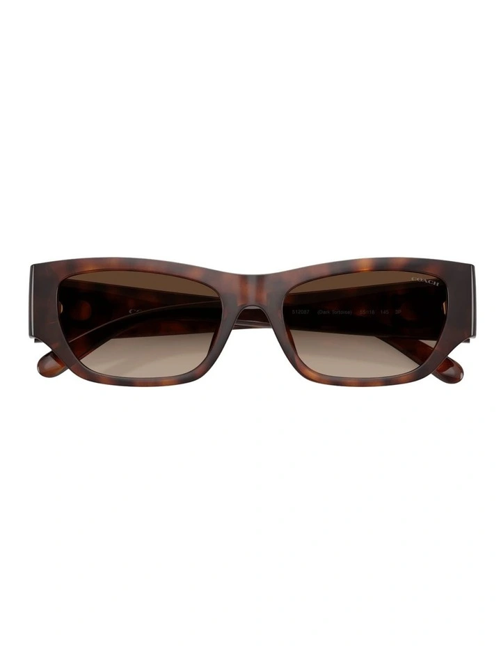 Coach CFU16 Injected Polarised Sunglasses in Tortoise image 4