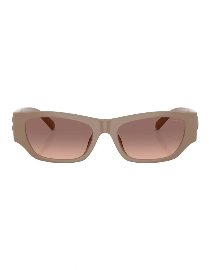 Coach CFU16 Injected Sunglasses in Beige image 1