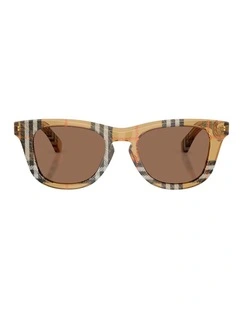 Burberry  Acetate Sunglasses in Brown