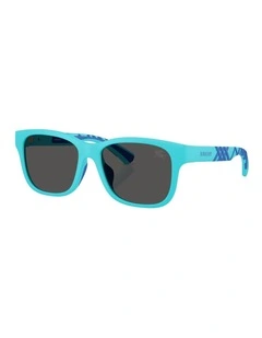 Burberry  Injected Sunglasses in Blue
