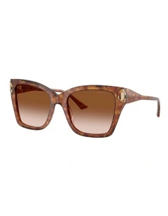 Jimmy Choo  Acetate Sunglasses in Brown
