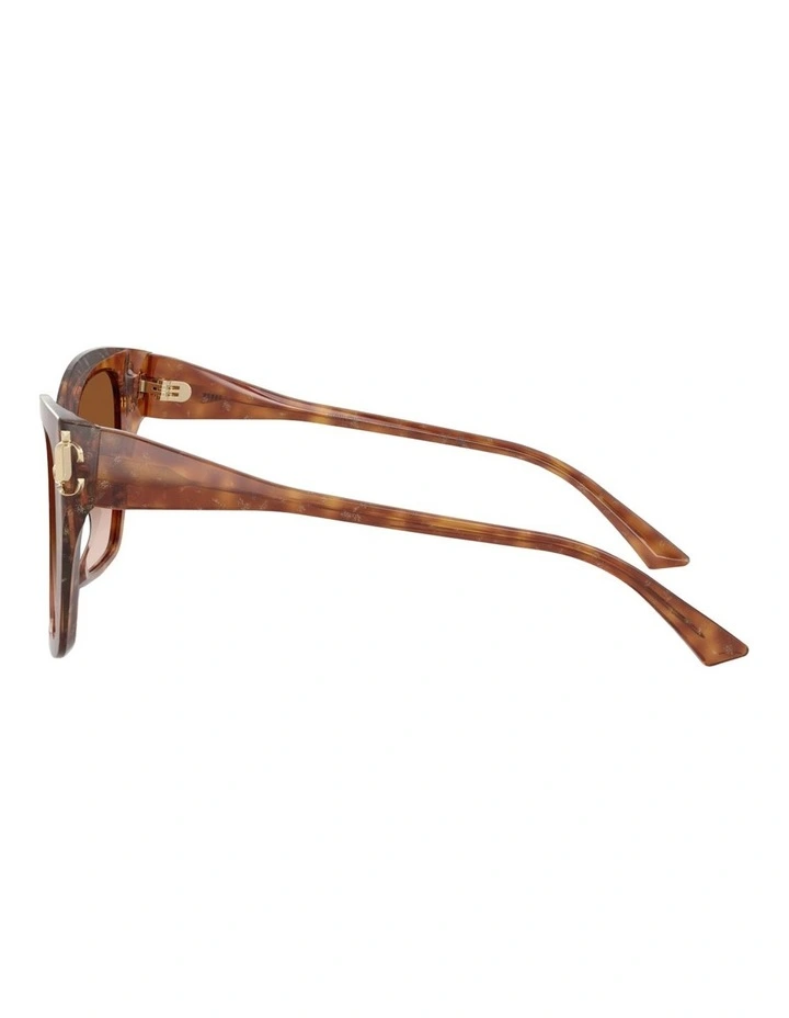 Jimmy Choo Acetate Sunglasses in Brown image 3