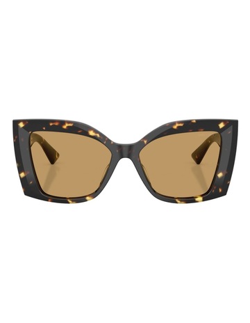 Tortoise Black Yellow colour