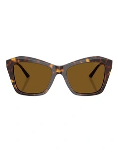 Jimmy Choo JC5076F Acetate Polarised Sunglasses in Tortoise