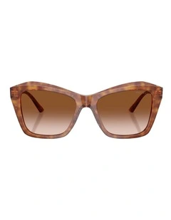Jimmy Choo JC5076F Acetate Sunglasses in Brown