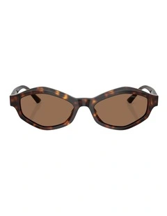 Jimmy Choo JC5077U Acetate Sunglasses in Tortoise