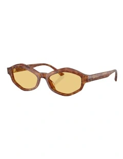 Jimmy Choo JC5077U Acetate Sunglasses in Brown