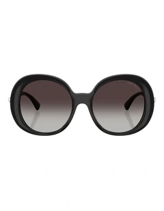 Jimmy Choo  Injected Sunglasses in Black