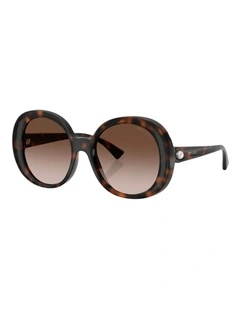 Jimmy Choo  Injected Sunglasses in Tortoise