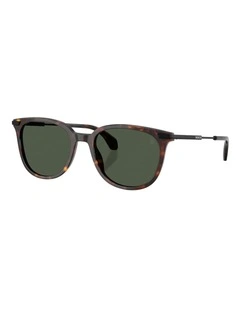 Moncler Korra Acetate Polarised Sunglasses in Tortoise