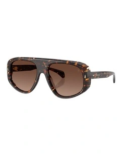Moncler Auron Acetate Polarised Sunglasses in Tortoise
