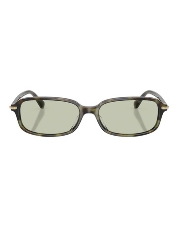 Sage Tortoise colour
