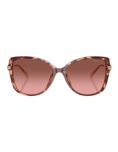 Michael Kors Athens Injected Sunglasses in Tortoise