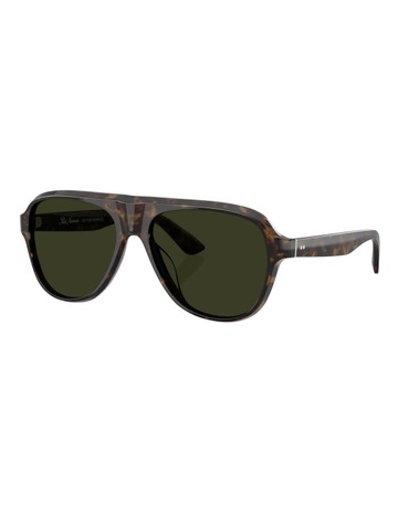 Walnut Tortoise colour