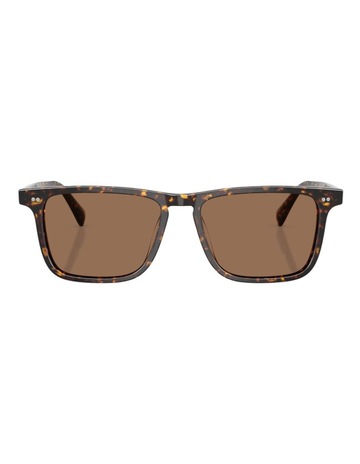 Atago Tortoise colour